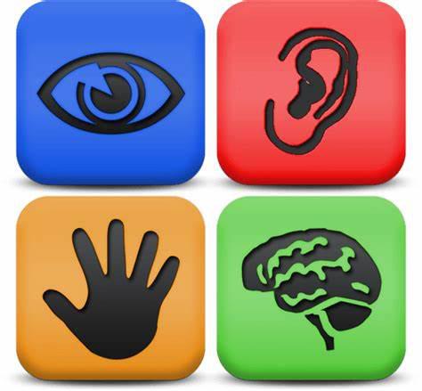 Image of eye, ear, hand and brain