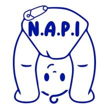 NAPI Logo