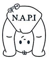 NAPI logo